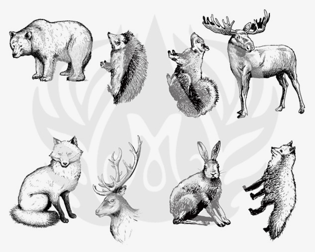 Resim DESIGNER SILKSCREEN WOODLAND ANIMALS DSS-0101