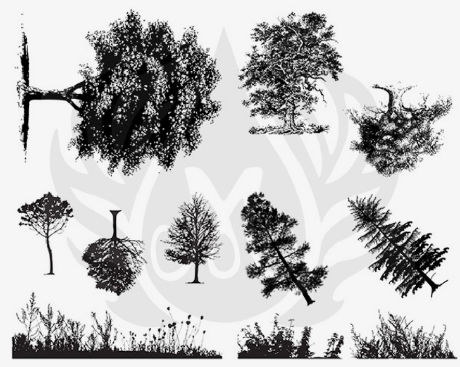 Resim DESIGNER SILKSCREEN BOTANICAL – TREES DSS-0110