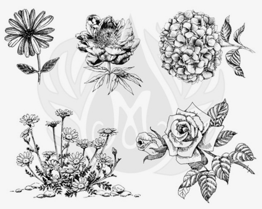 Picture of DESIGNER SILKSCREEN FLOWERS 3 – XL DSS-0149