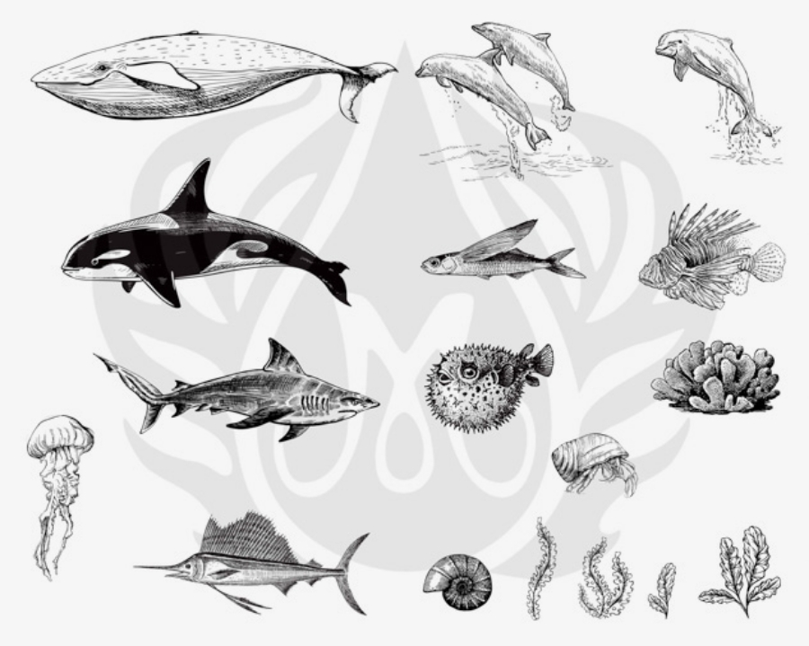 Resim DESIGNER SILKSCREEN SEA LIFE 2 DSS-0131