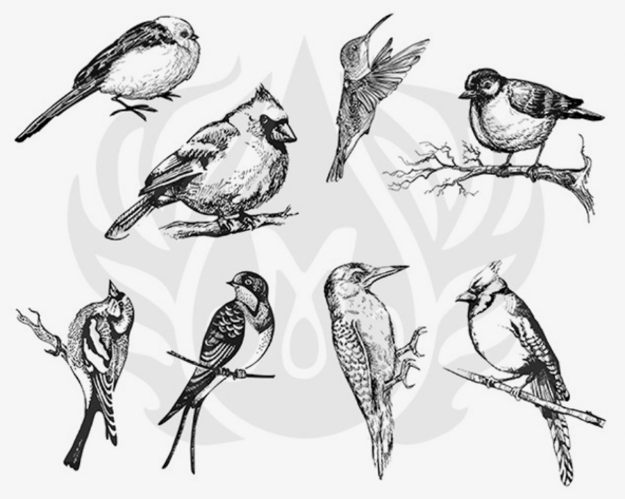 Picture of DESIGNER SILKSCREEN AVIARY – SMALL BIRDS DSS-0108