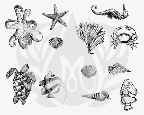 Picture of DESIGNER SILKSCREEN SEA LIFE DSS-0102