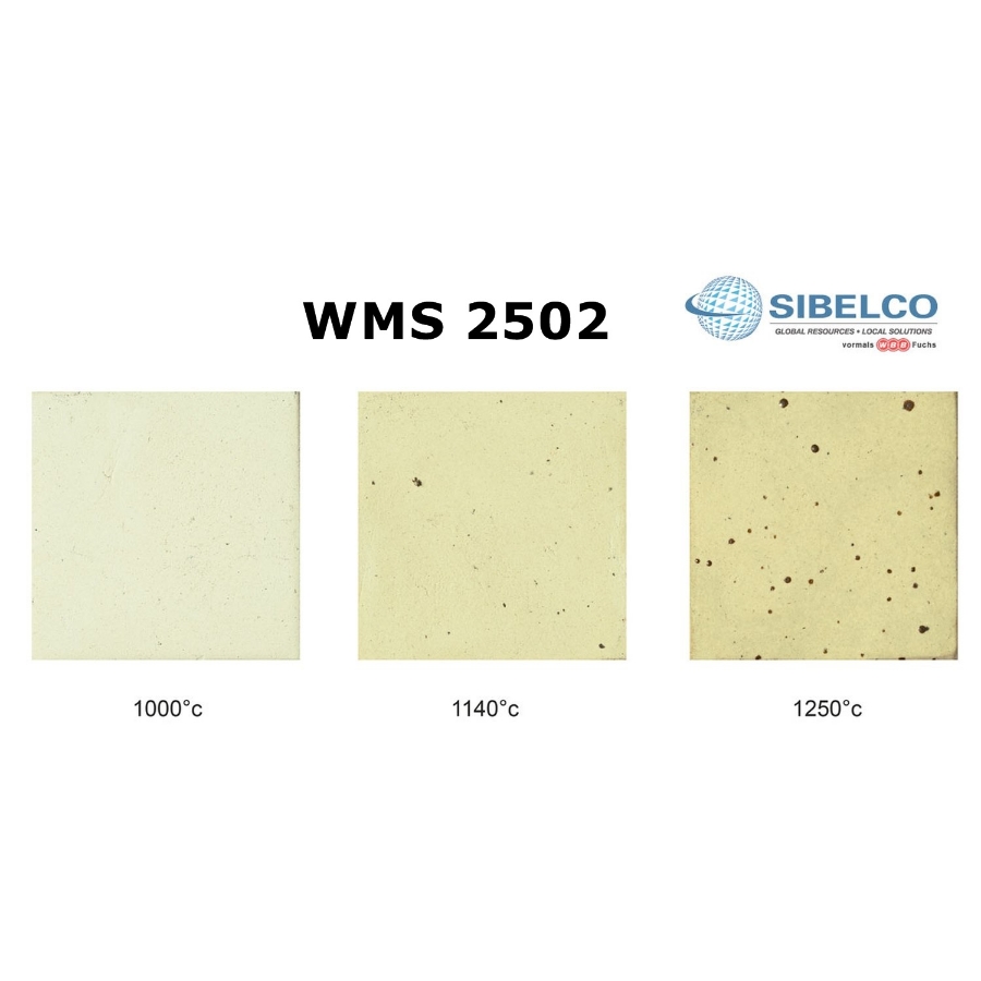 Picture of WMS 2502 SPOTTED MUD 10KG