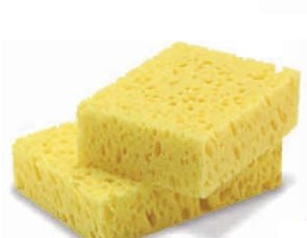 Picture of 23402 Sponge