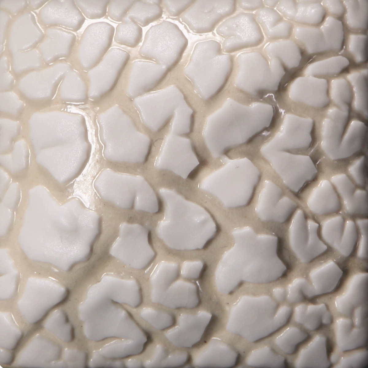 Picture of Mayco SW-403 White Mudcrack Stoneware High Grade Glaze