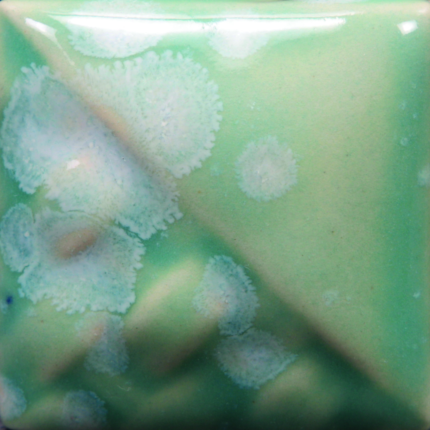 Picture of Mayco SW-150 Celadon Bloom Stoneware High Grade Glaze