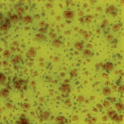 Picture of Mayco CG-717 Pistachio Crystal Glaze