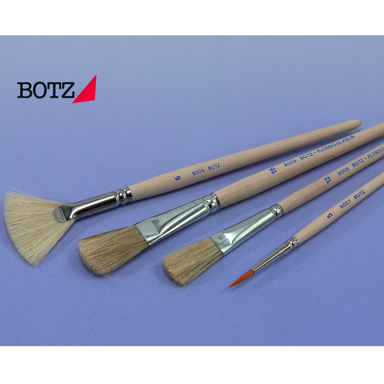 Picture of Botz Brush Set