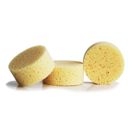 Picture of IMPORTED ROUND SPONGE