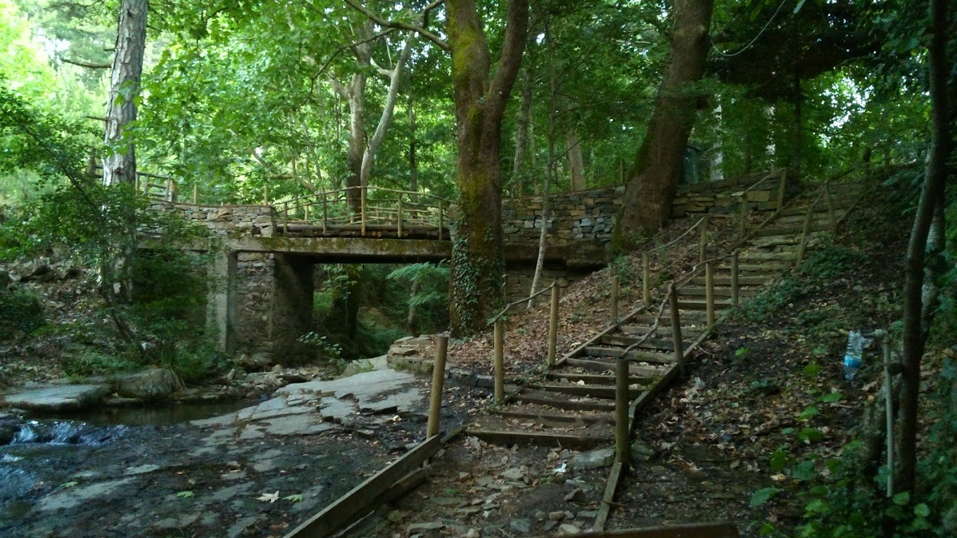 Resim Darıdere Tabiat Parkı