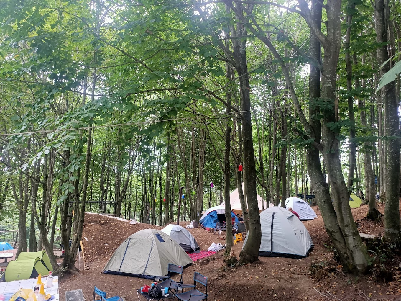 Resim Ayvaz Camping
