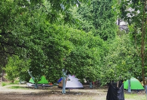 Resim Tavuskuşu Camping & Karavan