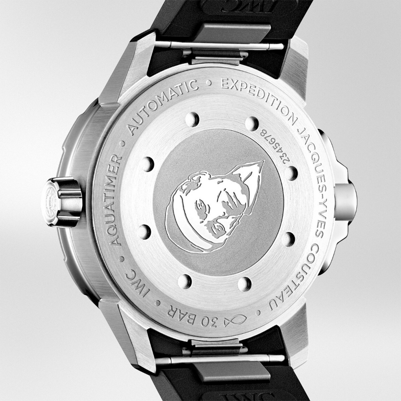 Resim AQUATIMER “EXPEDITION JACQUES-YVES COUSTEAU” EDITION - STEEL AUTOMATIC 42 MM