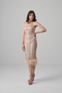 Picture of Keira Special Stamp Payet Embroidered Strapless Skirt Dress